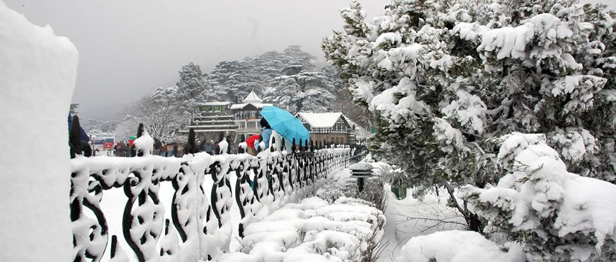 Shimla Manali Honeymoon Package 